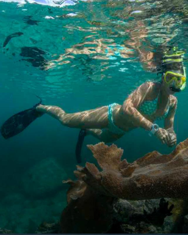 Snorkeling